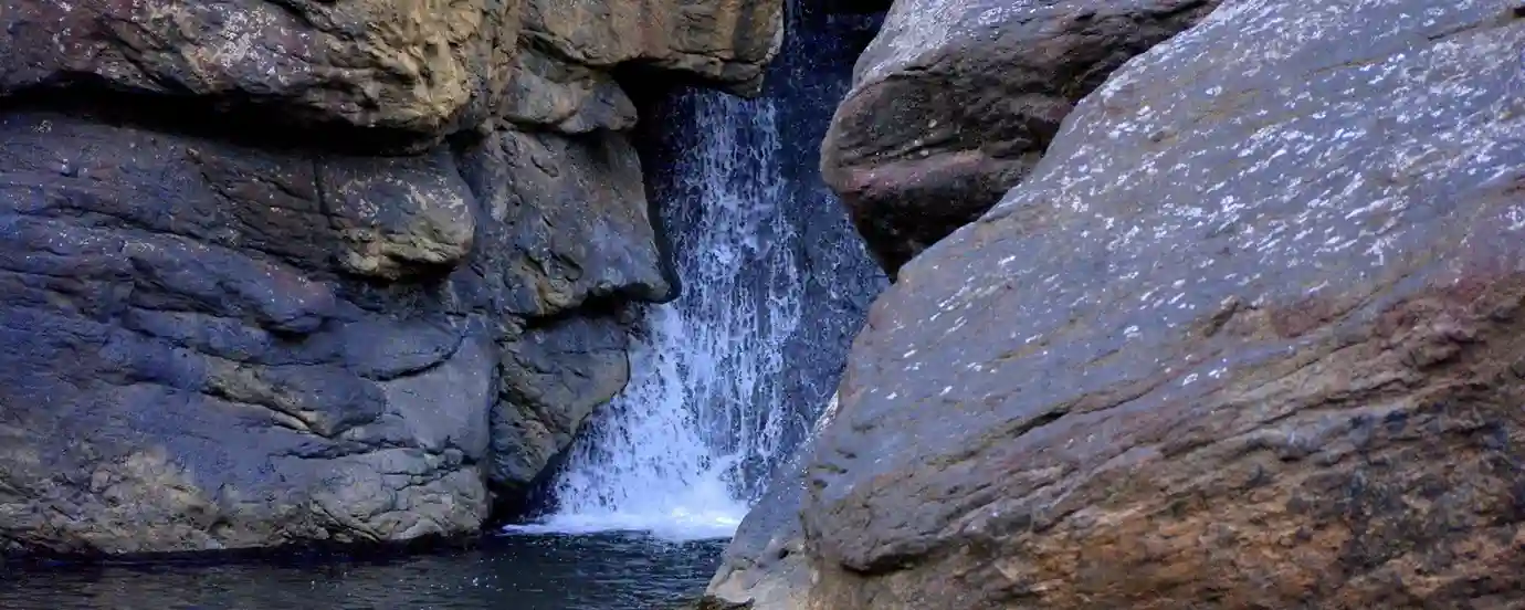 India's Tigers and Nature Trail-1